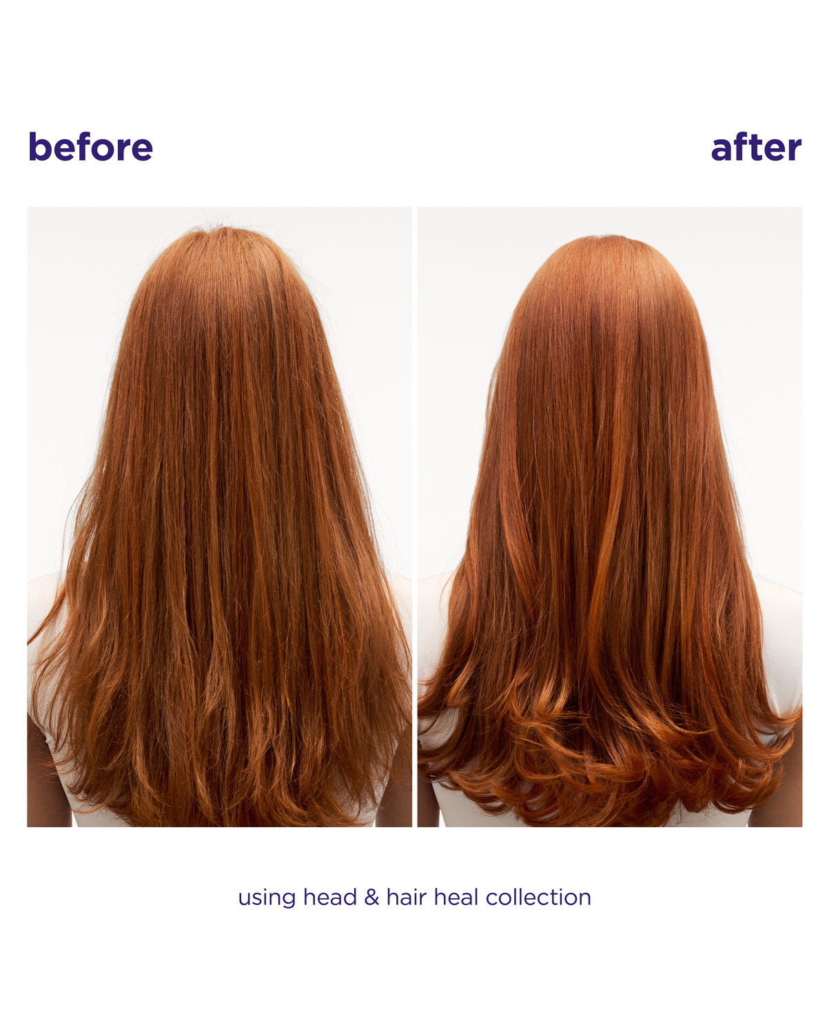 Head & Hair Heal Conditioner